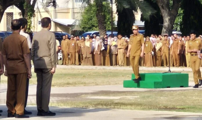 Jabatan