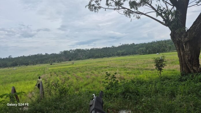 Irigasi Sawah
