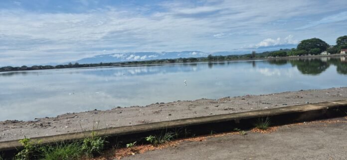 Pusong